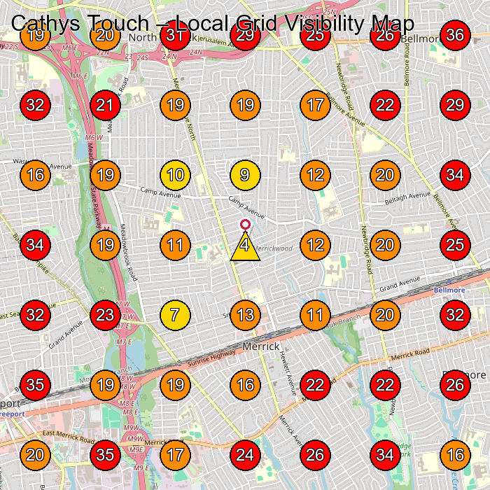 Cathys Touch GeoGrid visibility map for Children'S Clothing Store in Garden City